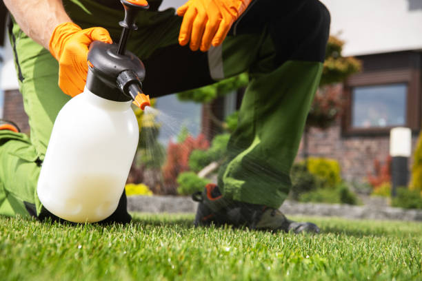 Best Pest Control Treatment  in River Falls, WI