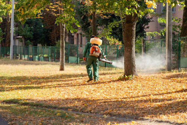 Best Mosquito Control Services  in River Falls, WI
