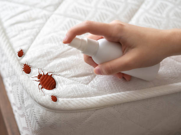 Best Bed Bug Extermination  in River Falls, WI